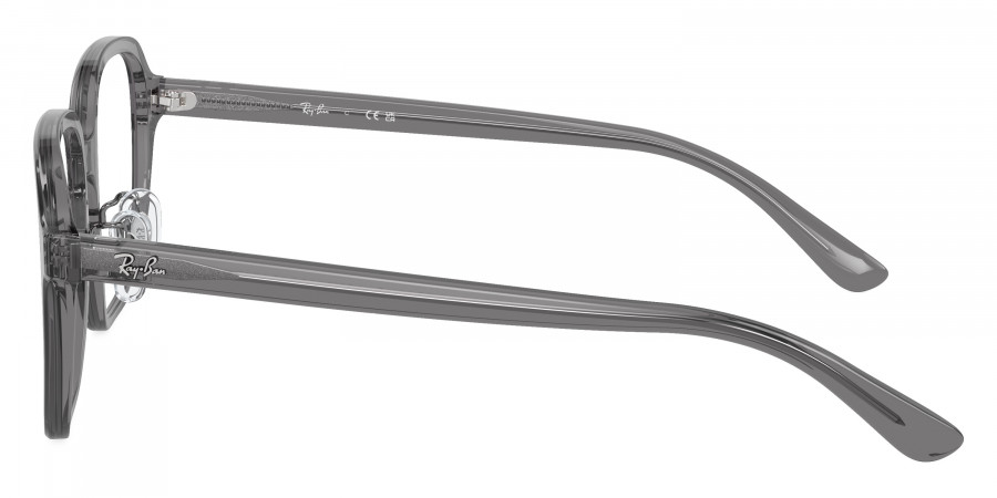Ray-Ban™ - RX5424D