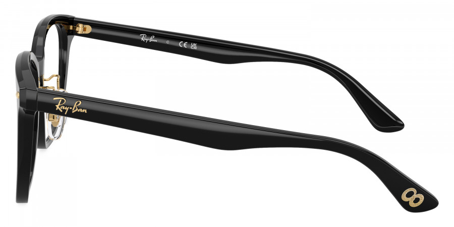 Ray-Ban™ - RX5425D