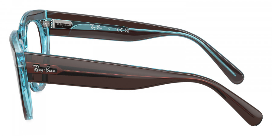 Ray-Ban™ - Doreen RX5586