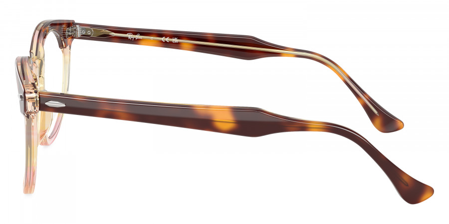 Ray-Ban™ - Eagleeye RX5598