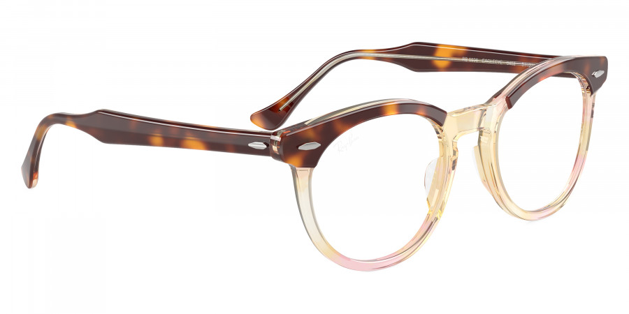 Ray-Ban™ - Eagleeye RX5598