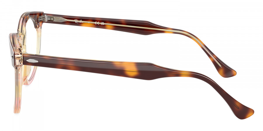 Ray-Ban™ - Eagleeye RX5598F