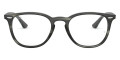 Gray Green Havana