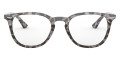 Gray Havana