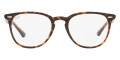 Havana on Transparent Brown