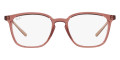 Transparent Light Brown