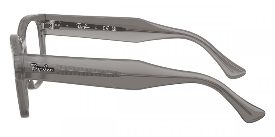 Ray-Ban™ - Laurene RX7256F