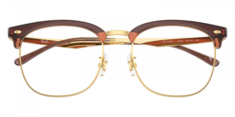 Ray-Ban™ - RX7318D