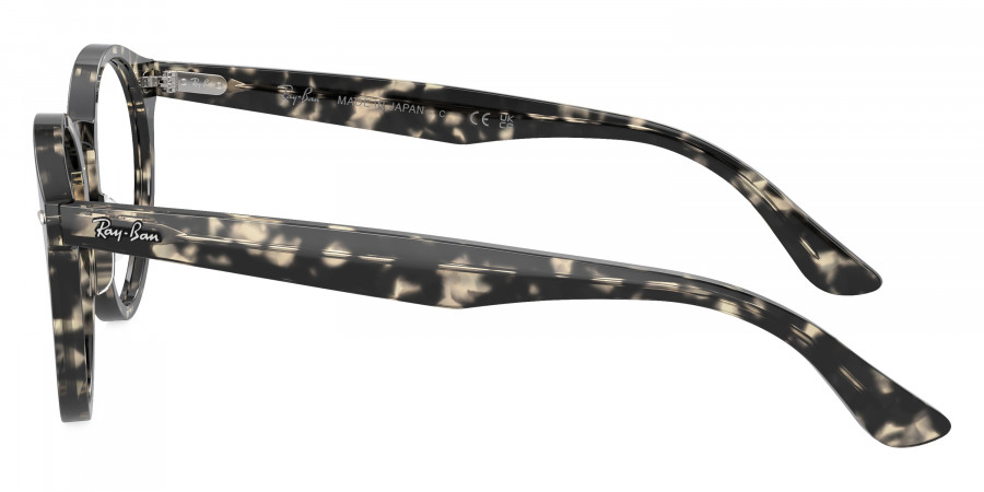 Ray-Ban™ - Larry RX7680V