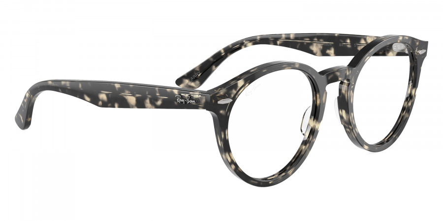 Ray-Ban™ - Larry RX7680V