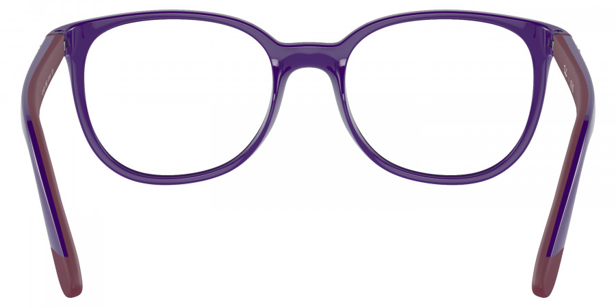 Ray-Ban™ - RY1631