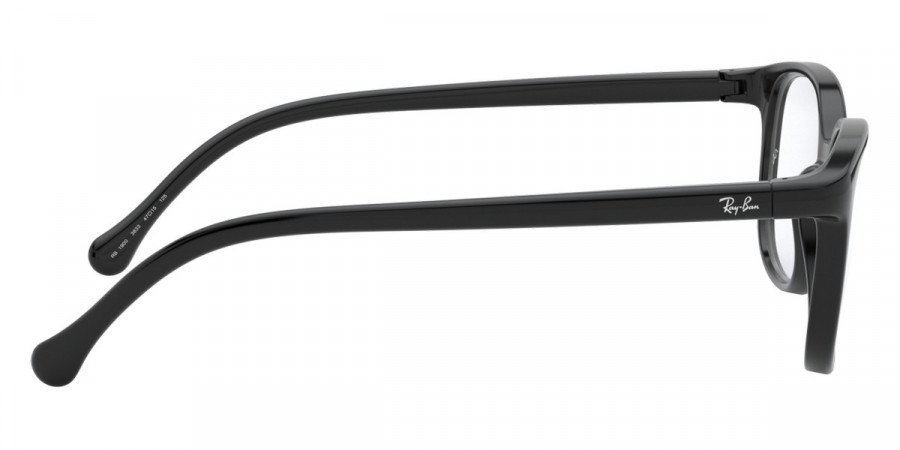 Ray-Ban™ - RY1900