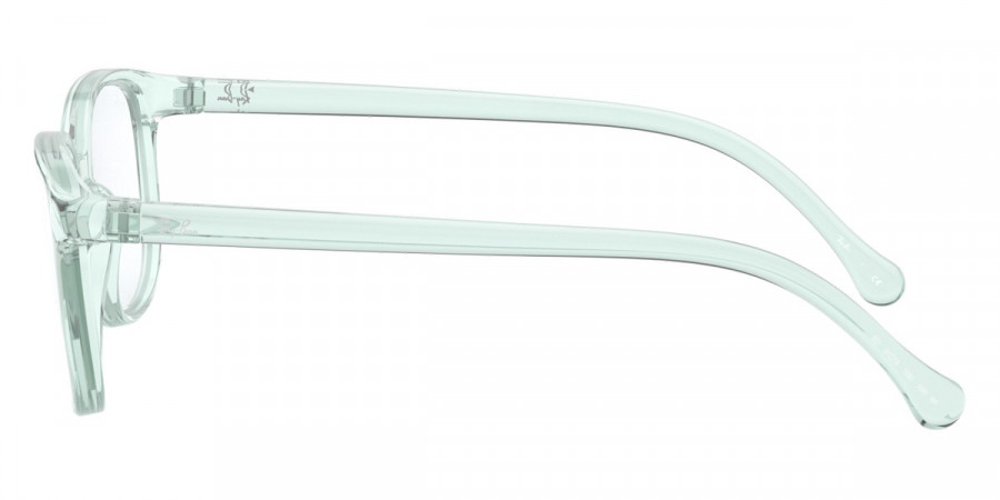Ray-Ban™ - RY1900