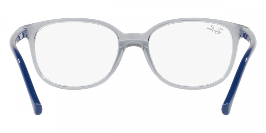 Ray-Ban™ - RY1900