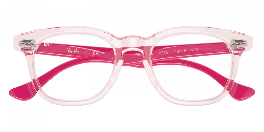 Ray-Ban™ - RY9098V