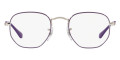 Silver Top Violet