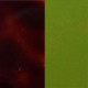 Shiny Cherry Tortoiseshell/Matte Translucent Lime