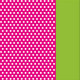 Neon Pink Perforated Satin/Neon Green Satin