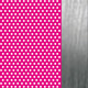 Satin Neon Pink Perforated/Polished Ruthenium