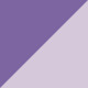 Violet Multicolor