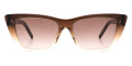Brown / Brown Gradient