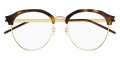 Havana/Gold / Transparent AR