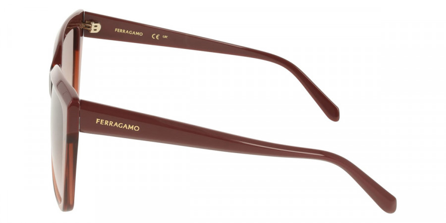 Salvatore Ferragamo™ - SF1102S