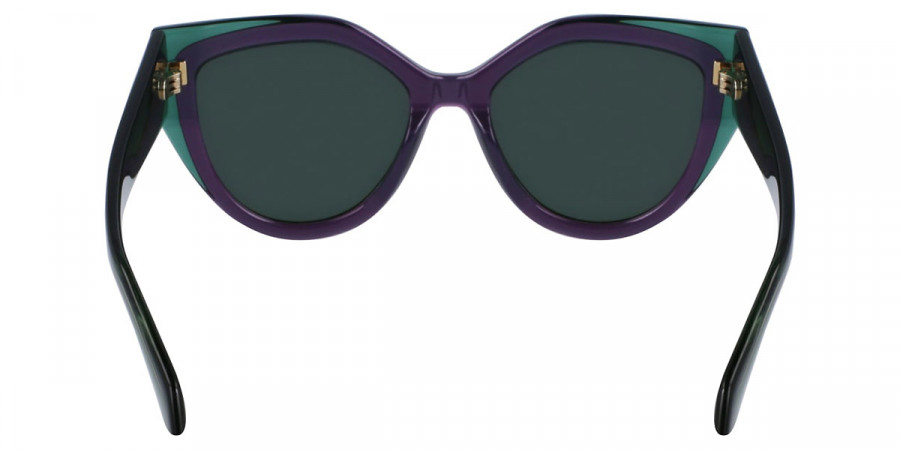 Salvatore Ferragamo™ - SF2004S