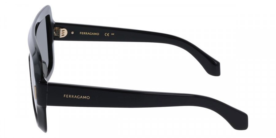 Salvatore Ferragamo™ - SF2061SE