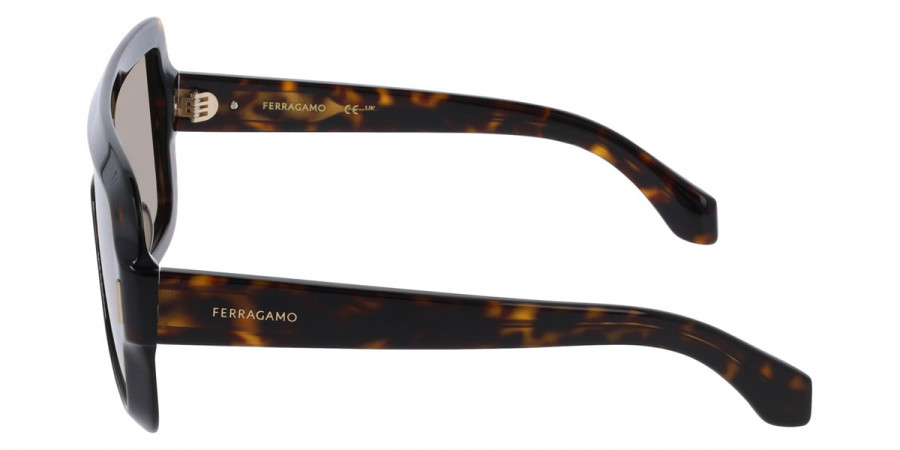 Salvatore Ferragamo™ - SF2061SE