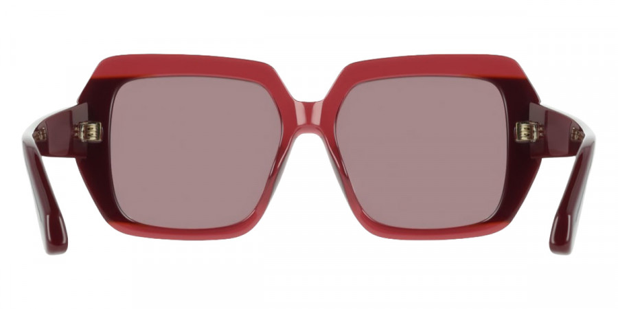 Salvatore Ferragamo™ - SF2081S
