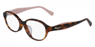 Color: Havana (214) - Salvatore Ferragamo SFGSF2856A21452