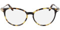 Tokyo Tortoise