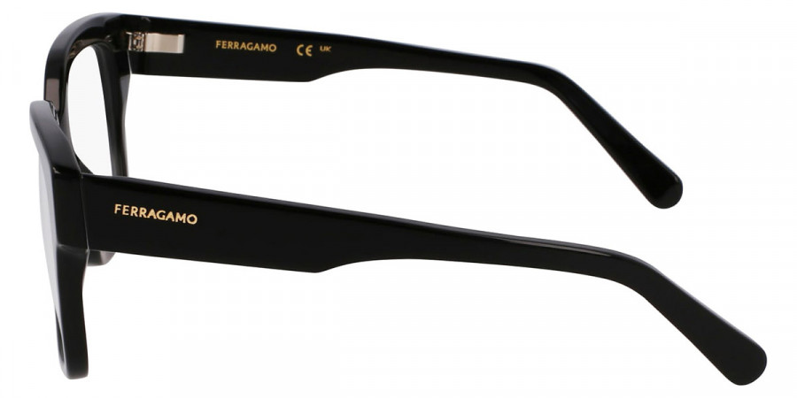 Salvatore Ferragamo™ - SF2952N