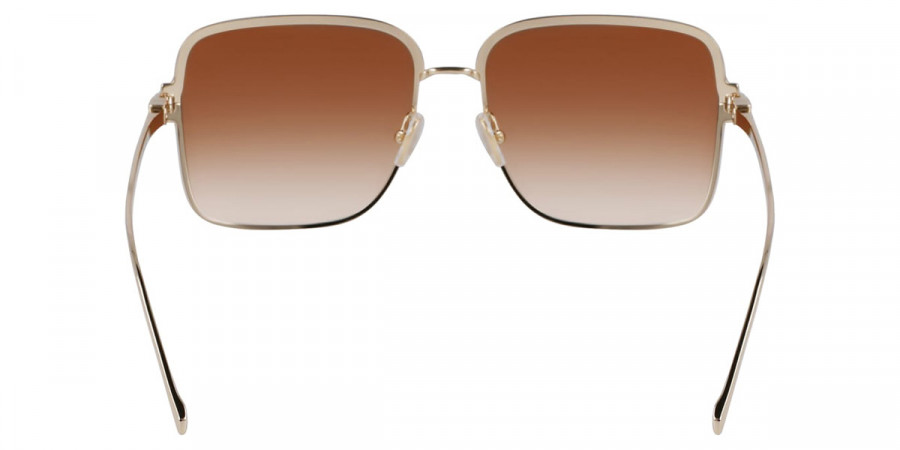 Salvatore Ferragamo™ - SF317S
