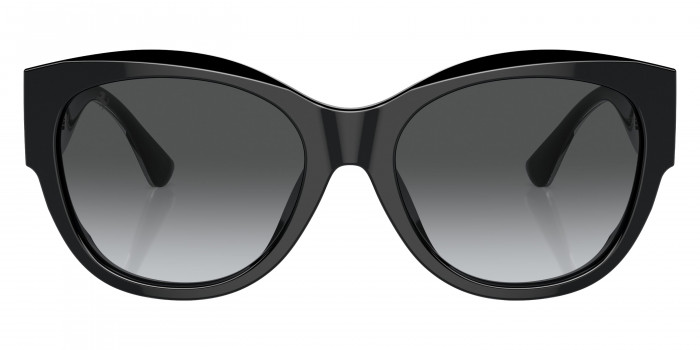 Ferrari™ - FH2008U