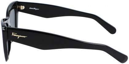 Salvatore Ferragamo™ SF929S Sunglasses for Women | EyeOns.com