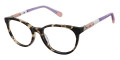 Tortoise Lilac