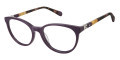 Purple Tortoise