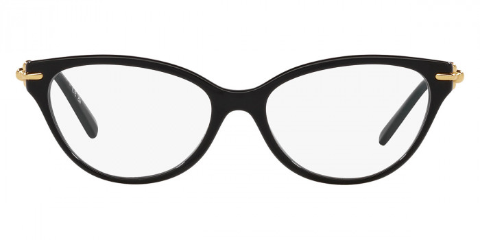 TIFFANY™ TF2231 8001 54 - Black