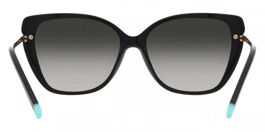 Color: Black (80013C) - Tiffany TF419080013C57