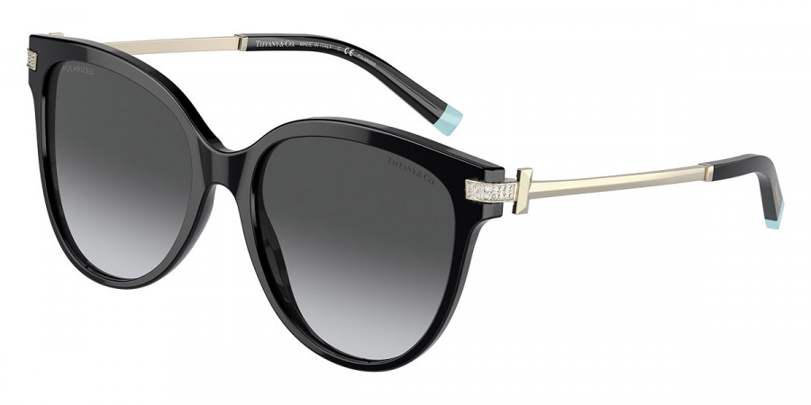 Tiffany™ - TF4193B