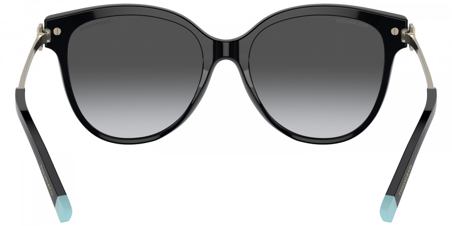 Tiffany™ - TF4193B