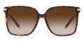 Havana/Pale Gold / Brown Gradient