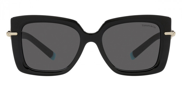 TIFFANY™ TF4199F 8001S4 53 - Black