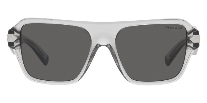 TIFFANY™ TF4204 8375S4 54 - Crystal Gray