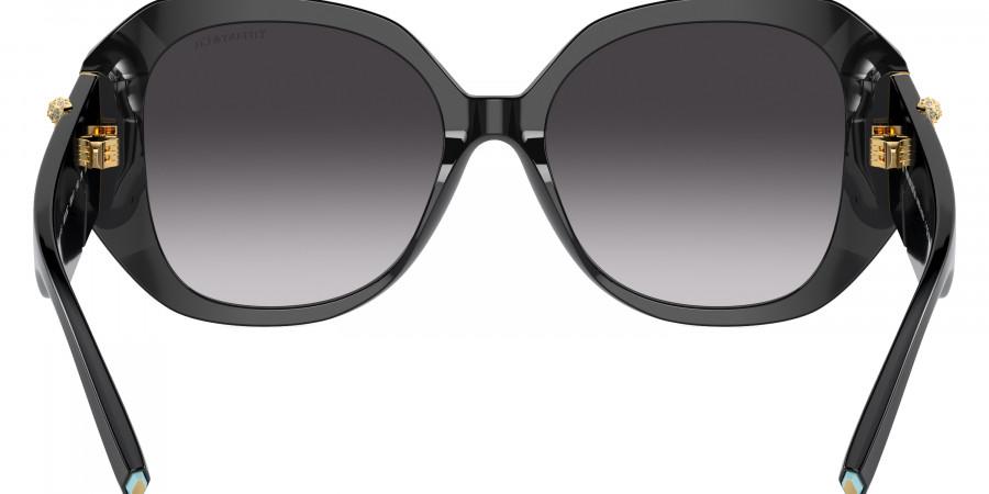 Tiffany™ - TF4207B