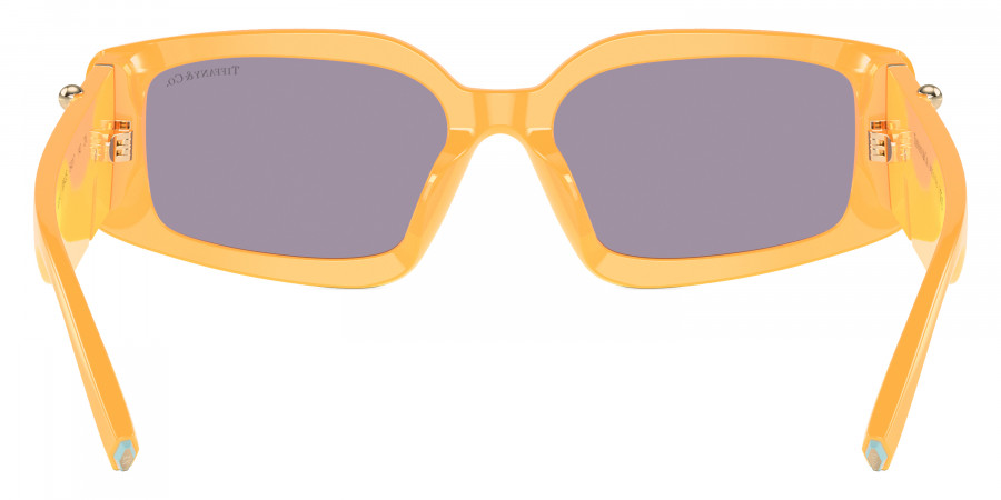 Tiffany™ - TF4208U