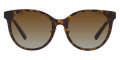 Havana / Polarized Brown Gradient