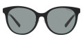 Black on Tiffany Blue / Dark Gray
